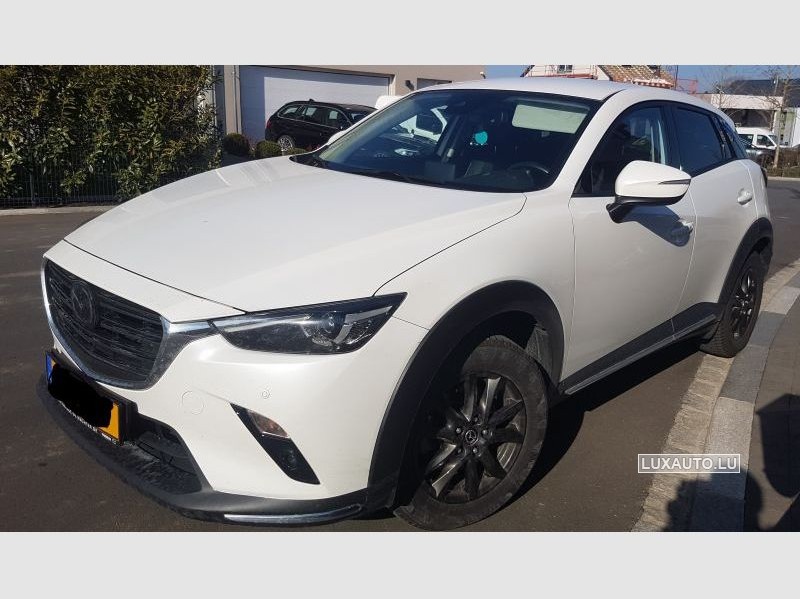 ベストコレクション Zdz ƒcƒ ƒxƒg